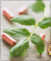 chinese, chinese herbal medicine, Ann Zimmerman, Clark Zimmerman, Oregon acupuncture